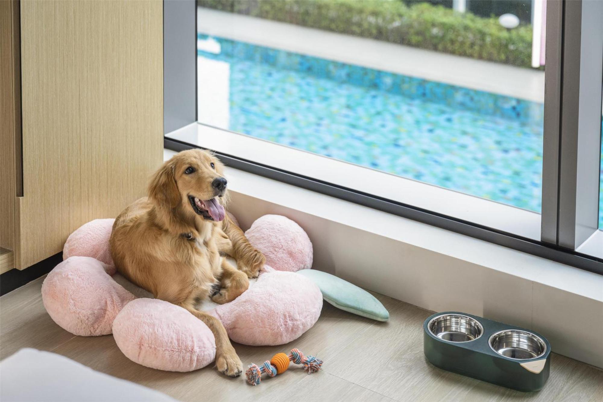 Hyatt Place New Taipei City Синджуан Екстериор снимка